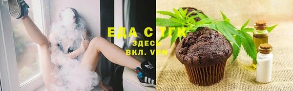 твердый Богданович