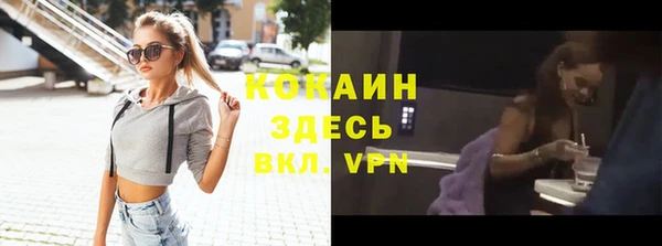 твердый Богданович