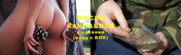 твердый Богданович