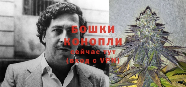 твердый Богданович