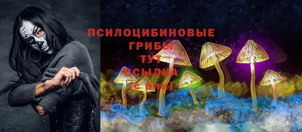 твердый Богданович