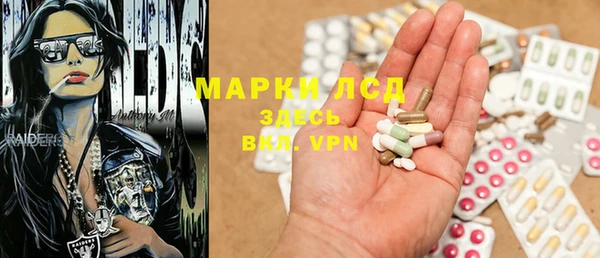 твердый Богданович