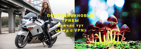гидропоника Богородицк
