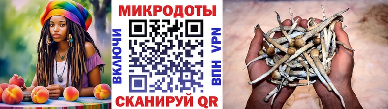 Купить закладки  Невельск  Псилоцибиновые грибы Psilocybe 